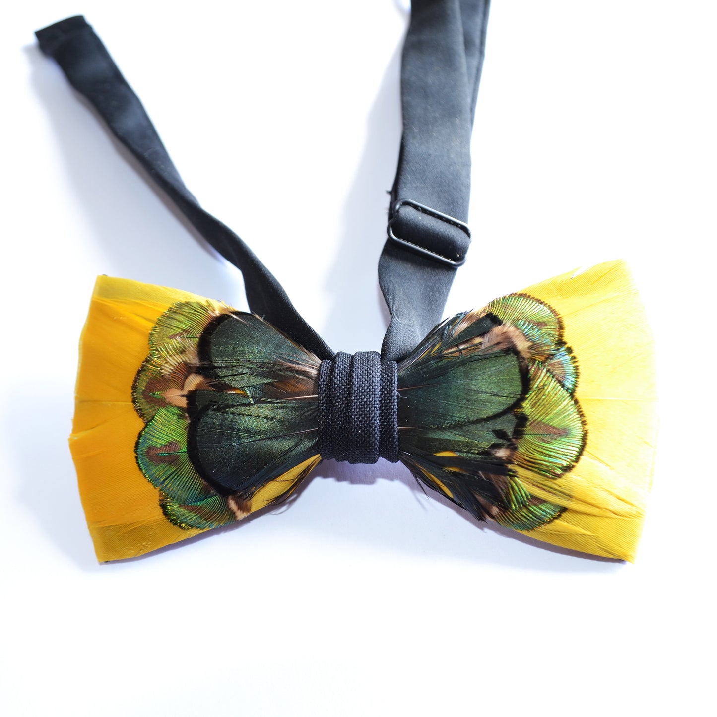 LE GEAI - Plumes - Adulte - Loup Indigo