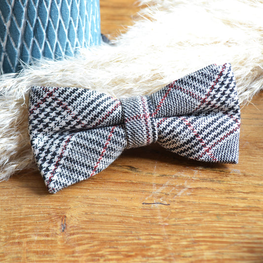 LE LIVINGSTON - Coton - Adulte - Loup Indigo